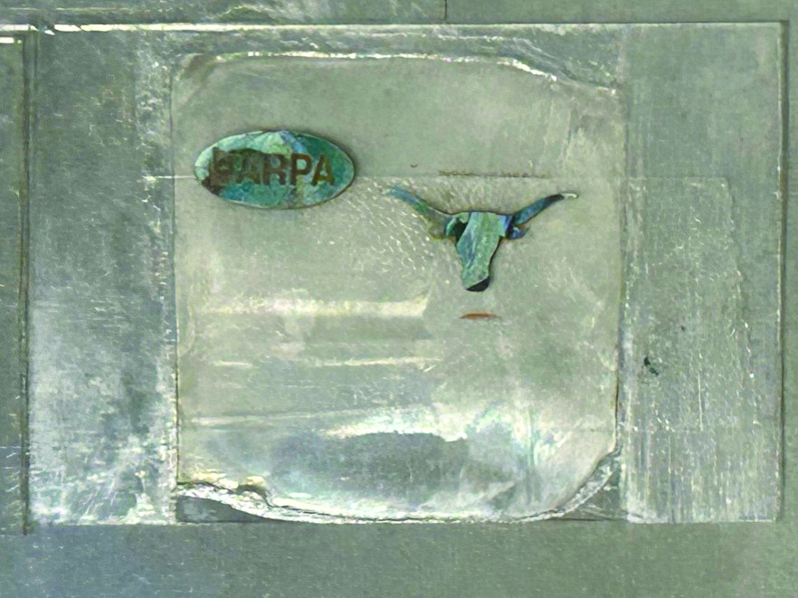 Silver longhorn and DARPA Logo embedded in a polymer matrix
