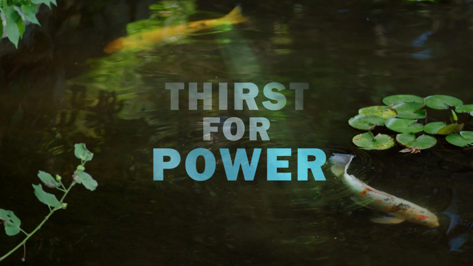 Promo image for Texas Engineer Michael Webber's PBS documentary Thirst for Power