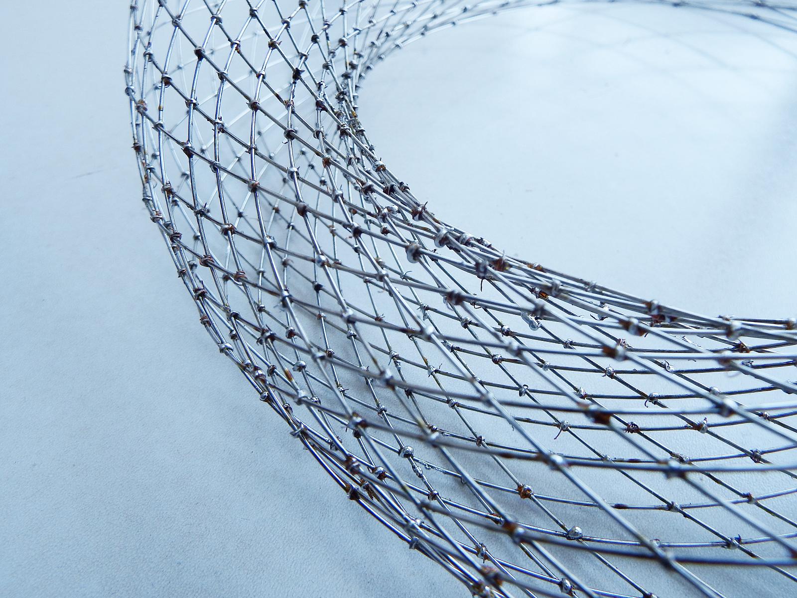 curved wireframe